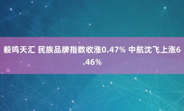 毅鸣天汇 民族品牌指数收涨0.47% 中航沈飞上涨6.46%
