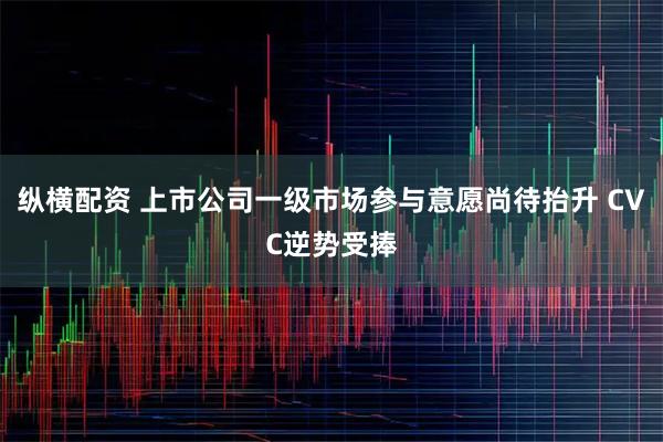 纵横配资 上市公司一级市场参与意愿尚待抬升 CVC逆势受捧
