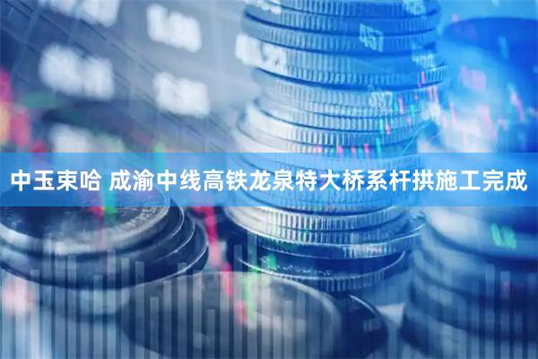 中玉束哈 成渝中线高铁龙泉特大桥系杆拱施工完成