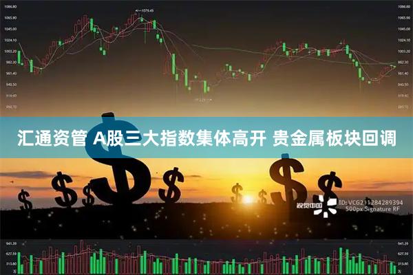 汇通资管 A股三大指数集体高开 贵金属板块回调