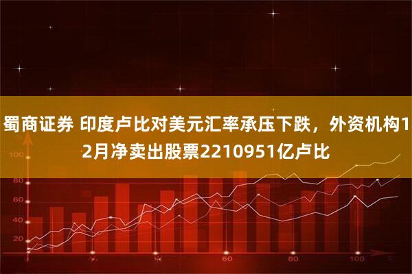 蜀商证券 印度卢比对美元汇率承压下跌，外资机构12月净卖出股票2210951亿卢比