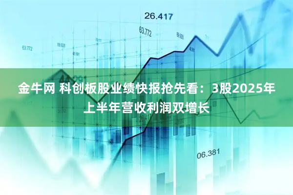 金牛网 科创板股业绩快报抢先看：3股2025年上半年营收利润双增长