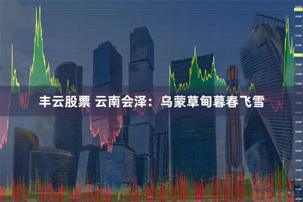 丰云股票 云南会泽：乌蒙草甸暮春飞雪